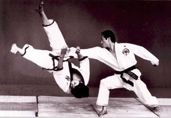 Grandmaster Kim Jin Pal throwing a student
